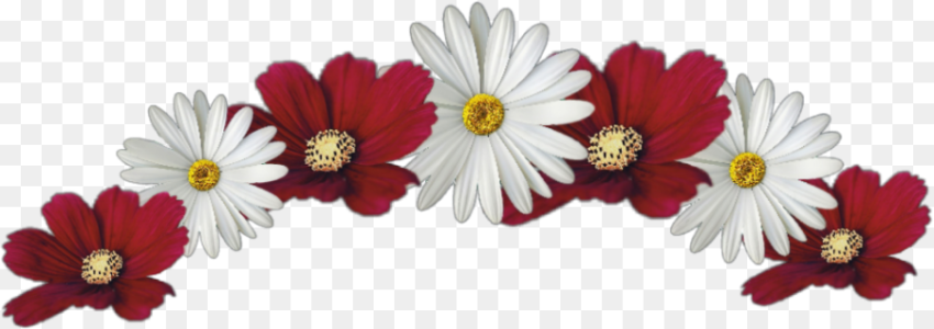 White and Red Flower Crown Hd Png