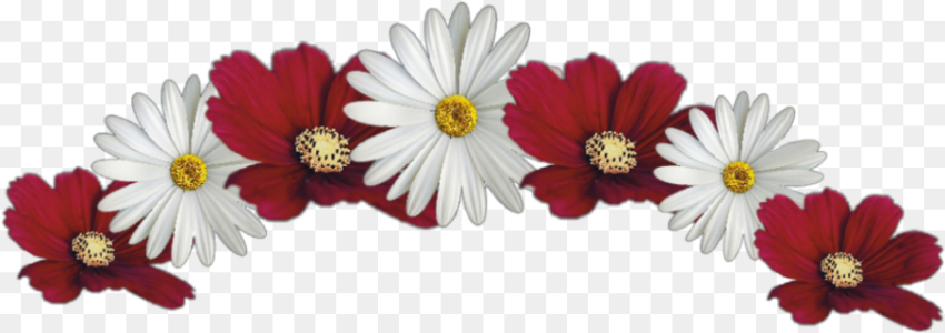 Transparent White and Red Flower Crown  png