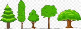 Crown of Trees Hd Png Download