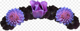 Crown Royal Clipart Flower Crowns for Edits