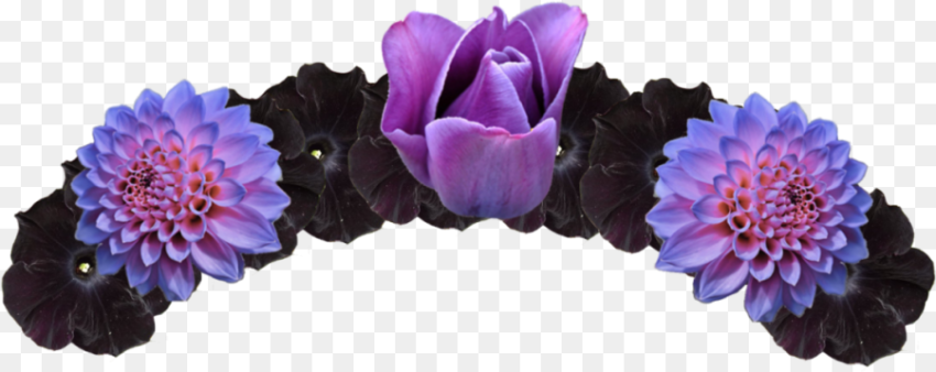 Transparent Crown Royal Clipart Flower Crowns for Edits
