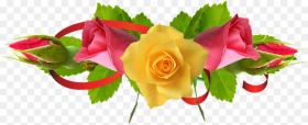 Yellow Rose Flower Free Png  Images Free