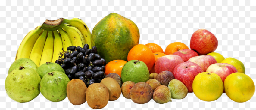 Clip Art Pic of Fruits Fruits Png Hd