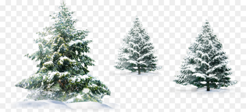 Transparent Background Christmas Snow Png Download
