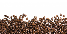 clipart coffee bean  PNG
