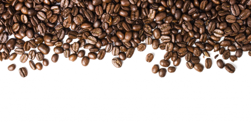 coffee beans png vector logo