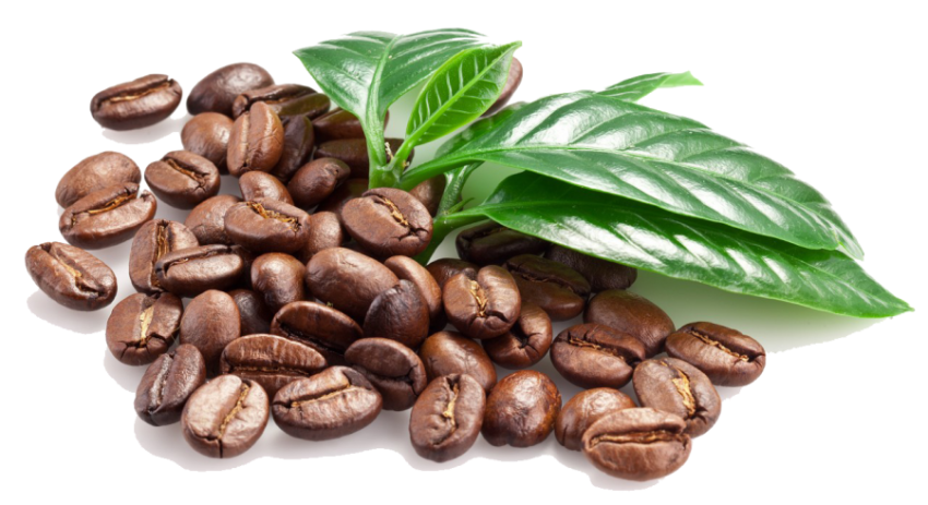 coffee beans hd png clipart