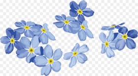 Plant Clip Art Forget Me Family Forget Me
