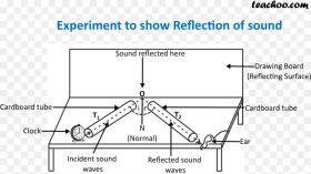 Experiment to Show Reflection of Sound New Reflection