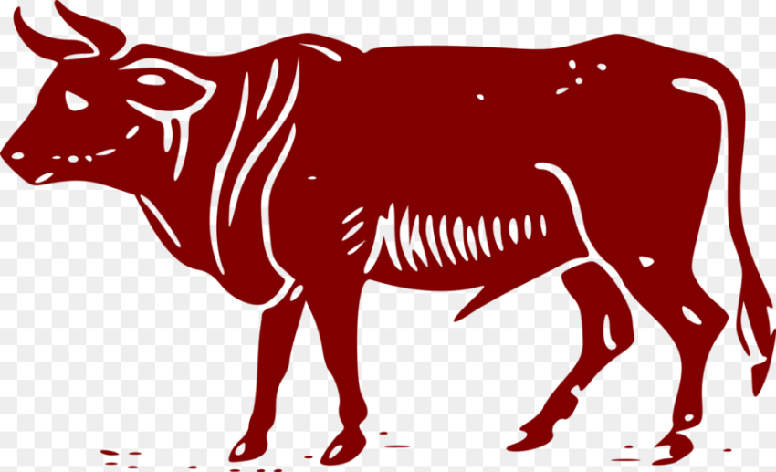 Area Ox Dairy Cow Beef Ox Hd Png