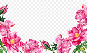 Pink Flowers Bottom Clipart Png  Flower Border