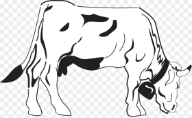Transparent Cow Clipart Black and White Cows Coloring