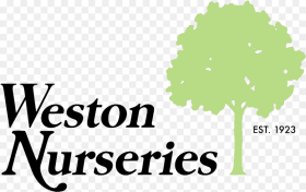 Coming Soon Weston Nurseries Tree Hd Png Download