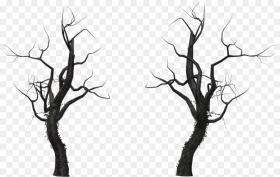 Transparent Floating Island Png Dead Tree Png