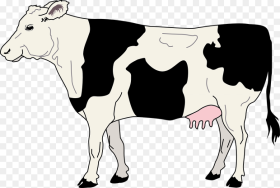 Cow Livestock Cattle Farm Animal Beef Dairy Cow