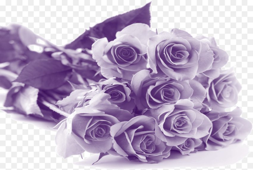 Happy Mothers Day Purple Flowers Mothers Day Purple