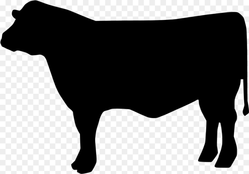 Beef Cattle Svg Clipart Png Download Beef Cow