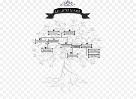 Lancaster Family Tree Hair and Beauty Hd Png