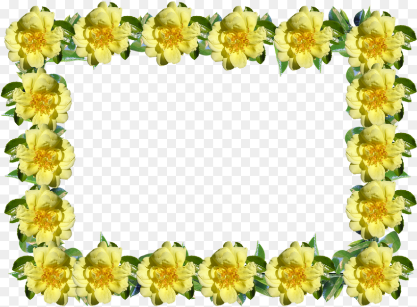 Frame Border Rose Free Picture Yellow Flower Frame