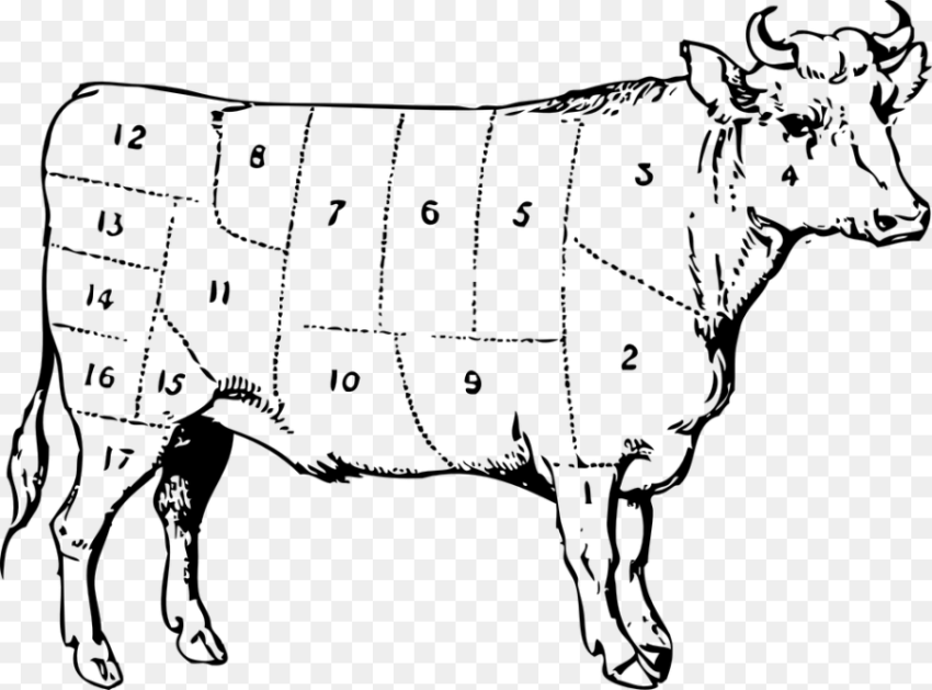 Cow Beef Cuts Numbered Symbol Meat Parts Cattle
