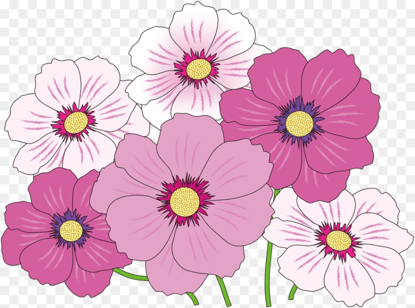 Flowers Icon Png Pink  Png