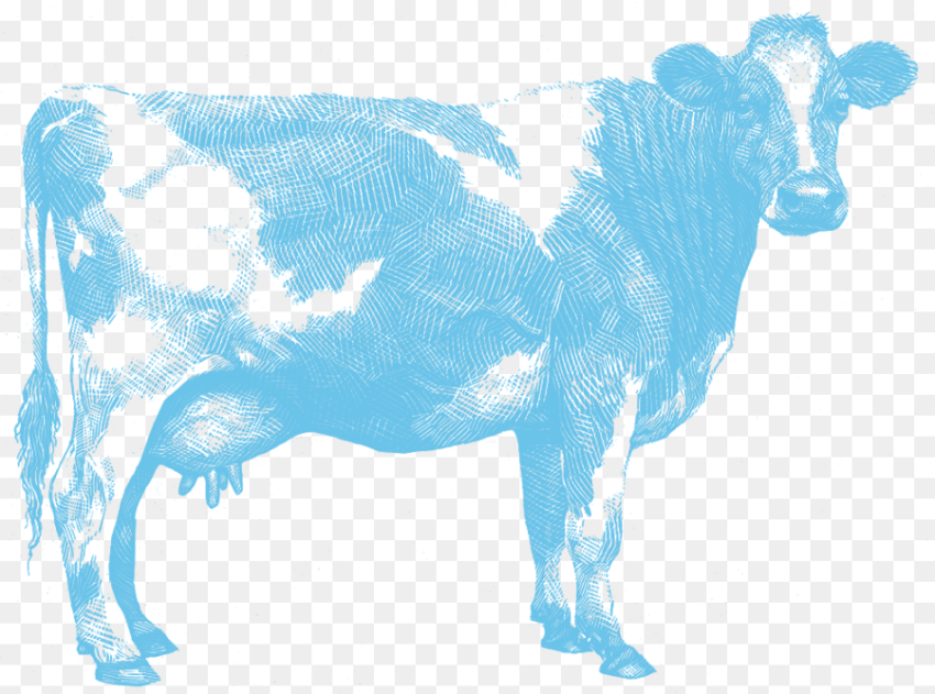 Transparent Dairy Cow Png Aunt Jeans Dairy Png