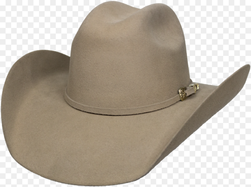 Goldstone Toro Castor Cowboy Hat Png Hd