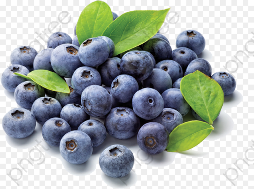 Blueberry Clipart Transparent Background Blueberries Grown in India