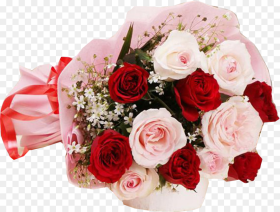 Red and Pink Roses Bunch Good Night Rose