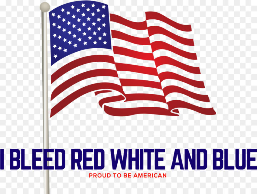 American Flag Clipart Transparent Png HD