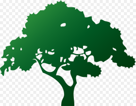 Plant Leaf Tree Tree Service Clipart Hd Png