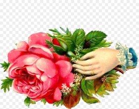 Hand a Flower Clipart Hd Png