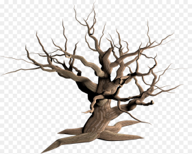 Desert Tree Png Transparent Background Dry Tree Png
