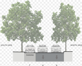 Existing One Way Configuration of Line Street Tree
