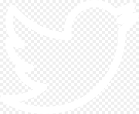 White Twitter Logo Outline Png HD