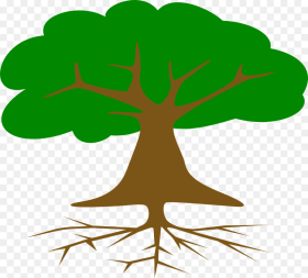 Roots of American Democracy Tree Hd Png Download