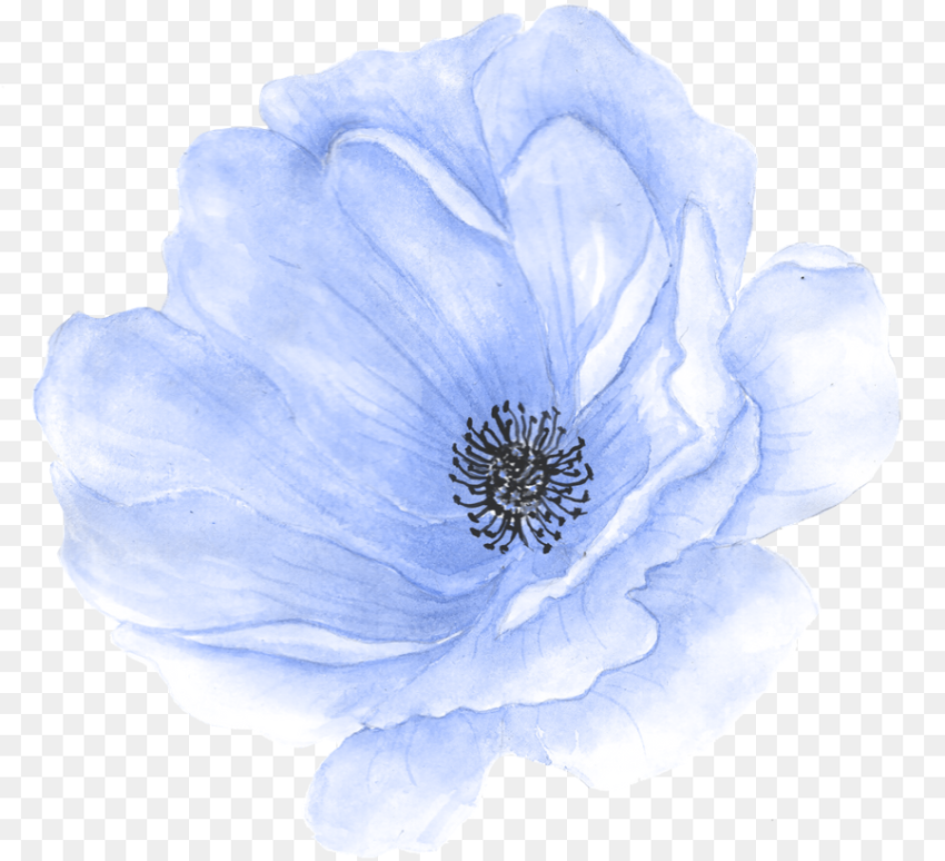 Hand Painted Flower Watercolor Flowers Clipart Blue Hd