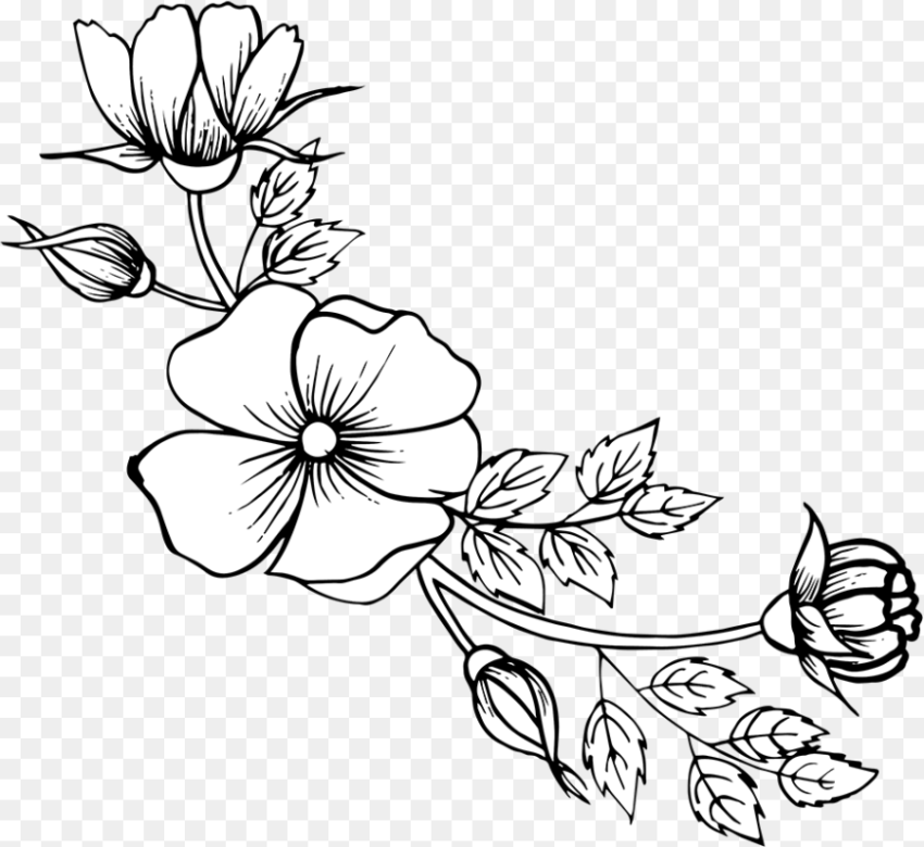 Hand Drawn Flower Png 