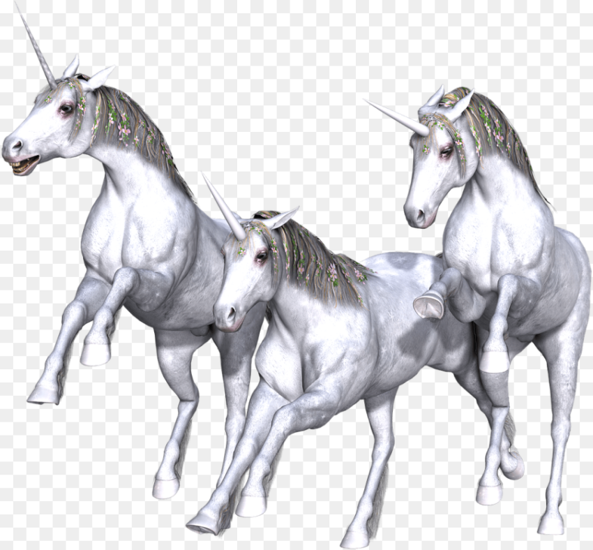 Unicorn Fantasy Fairy Tale White Mythology Horned Transparent Unicorn Fantasy Fairy Tale White Mythology Horned Transparent