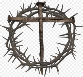 Transparent Background Crown of Thorns Png HD