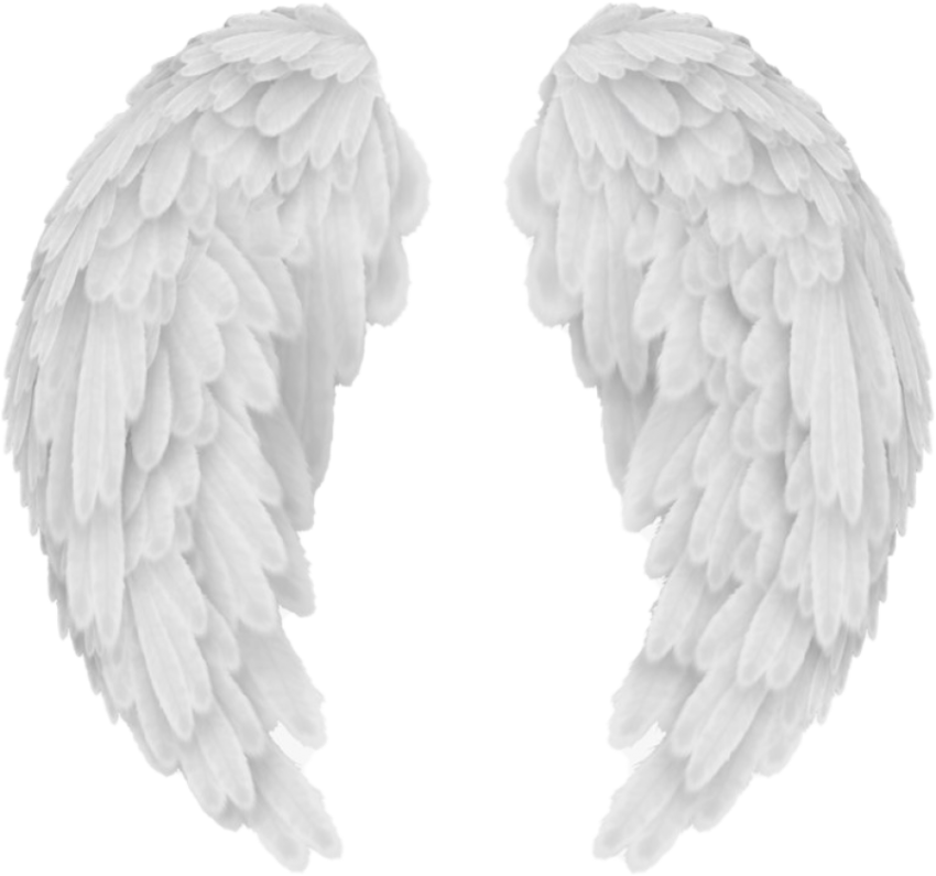 angel wings png HD, alas de angel, ангельские крылья, ailes d'ange, ali ...