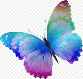 Kyliejenner Nelsonmandela Pink Purple Blue Blood Butterfly Design