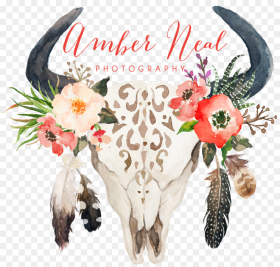 Cow Skull With Flowers and Feathers Png Download