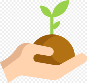 Plant a Tree Icon Png Clipart Png Download