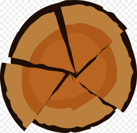 Log Wood Tree Cut Sawn Rings Section Brown