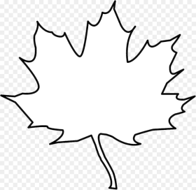 Leaf Outline Tree Clipart Free Cliparts Images On