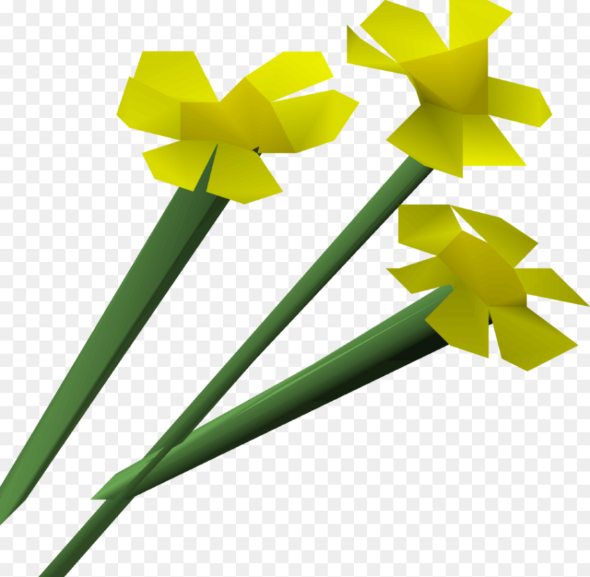 Osrs Flowers Hd Png