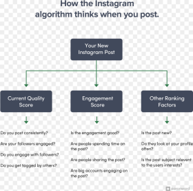 How the Instagram Algorithm Works When You Post