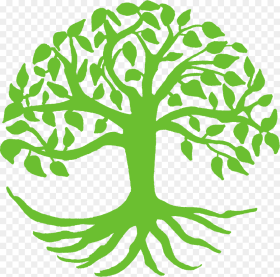 Spiritual Growth Clipart Tree of Life Svg Hd