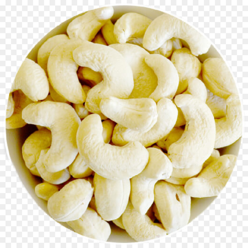 Clip Art Dry Fruit Supplier Cashew Cashew Nuts